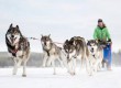 HARAKIRI-snowkiting-trip-norsko-aktivity-psi-sprezeni