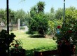 lefkada-ubytovani-hotel-intos-zahrada